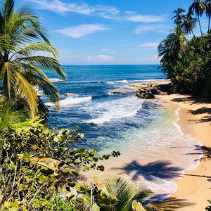 Meet your Posher, Atlandandsea